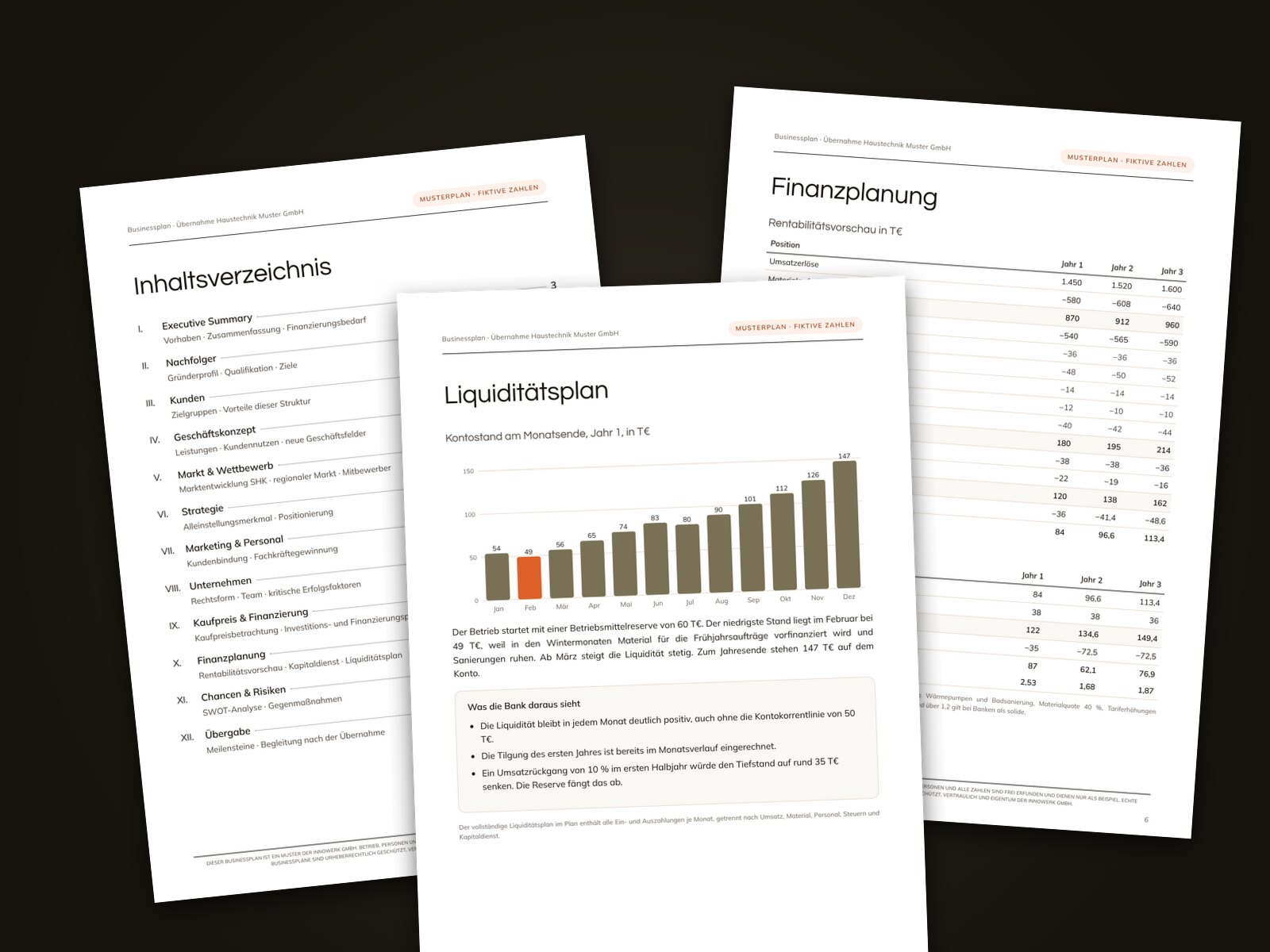 Seiten aus dem Innowerk-Musterplan: Inhaltsverzeichnis, Liquiditätsplan und Finanzplanung